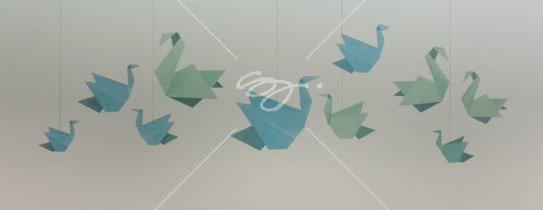 Swan-Insights Bruxelles